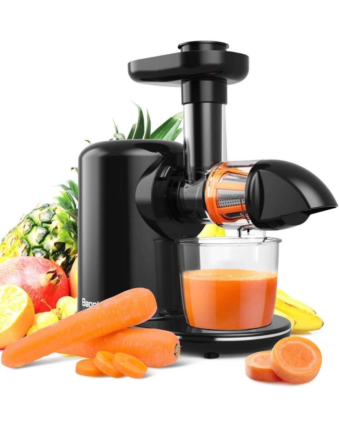 Slow Masticating Juicer