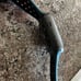 Apple watch series 3 42mm