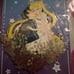 Sailor moon and mamoru fantasy pin