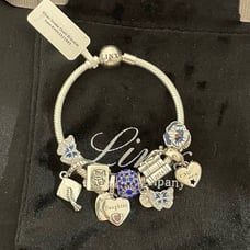 Linx Snake Chain Bracelet with Class of 2024 and Daughter Theme Charms