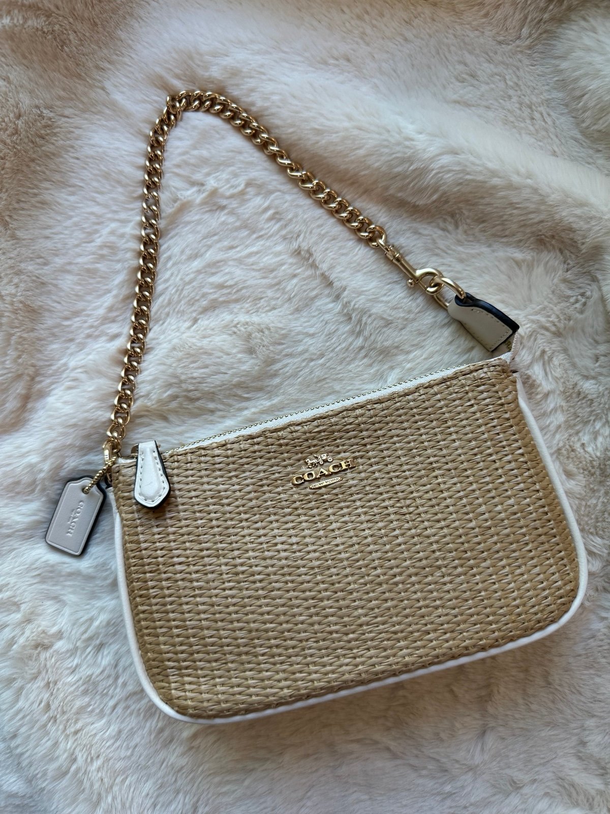 Coach Pebble Leather Nolita Large Wristlet 19 / Small Bag