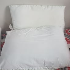 Two Bed Pillow