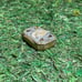 RARE Vintage Mother Mary rhinestone brass pillbox convex