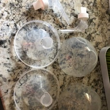 freemie cups 25mm