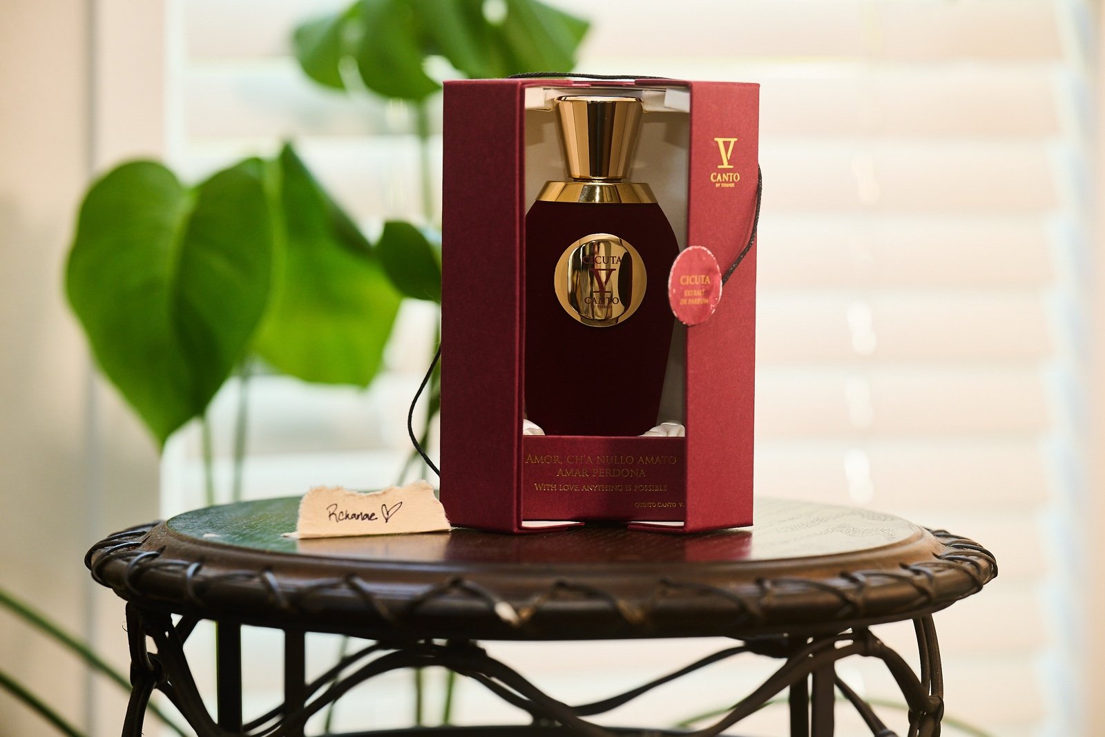 V Canto Cicuta 100ml