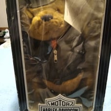 Harley Davidson teddy bear still in box.