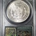 1883-O MORGAN SILVER DOLLAR (OGH)