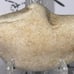 Native American Indian Portable Rock Art Effigy/Artifact Stone Tool • VA