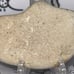 Native American Indian Portable Rock Art Effigy/Artifact Stone Tool • VA