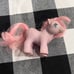 My Little Pony Carry Case W/ 4 Large Ponies & 5 Small - VTG 82-83