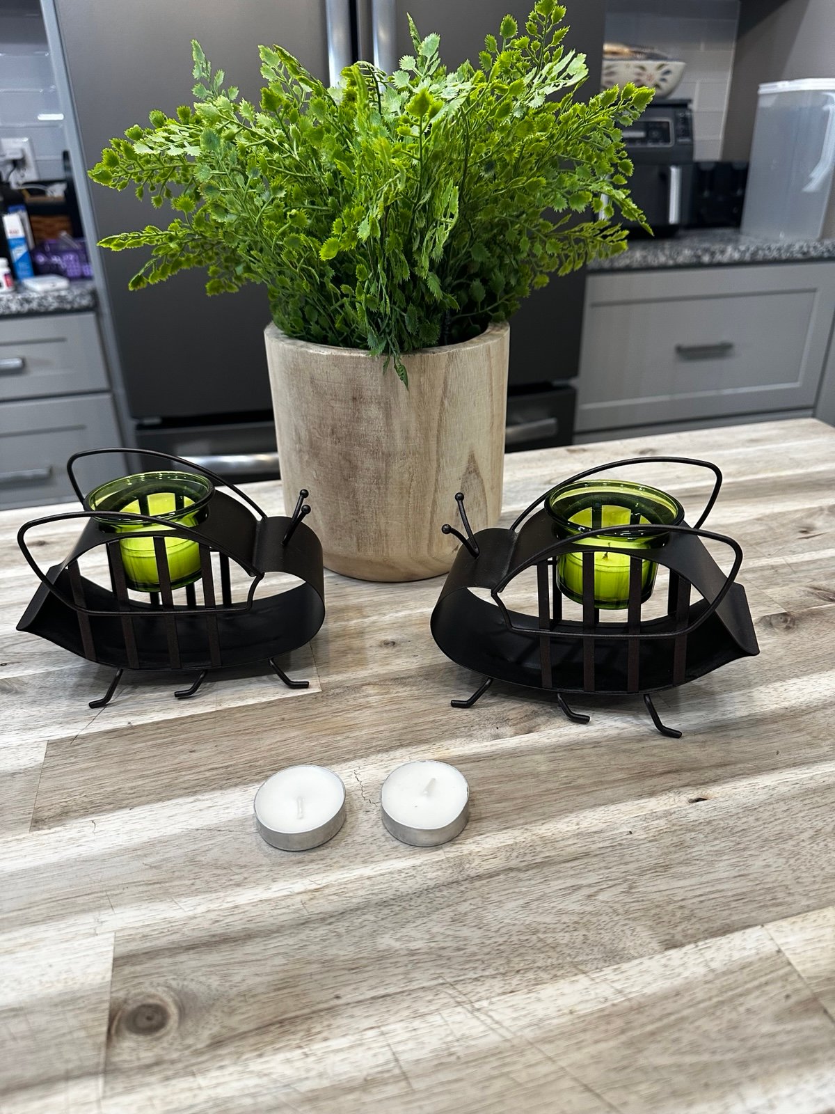 Home interior decor, bundle threshold plant plus metal party light bugs