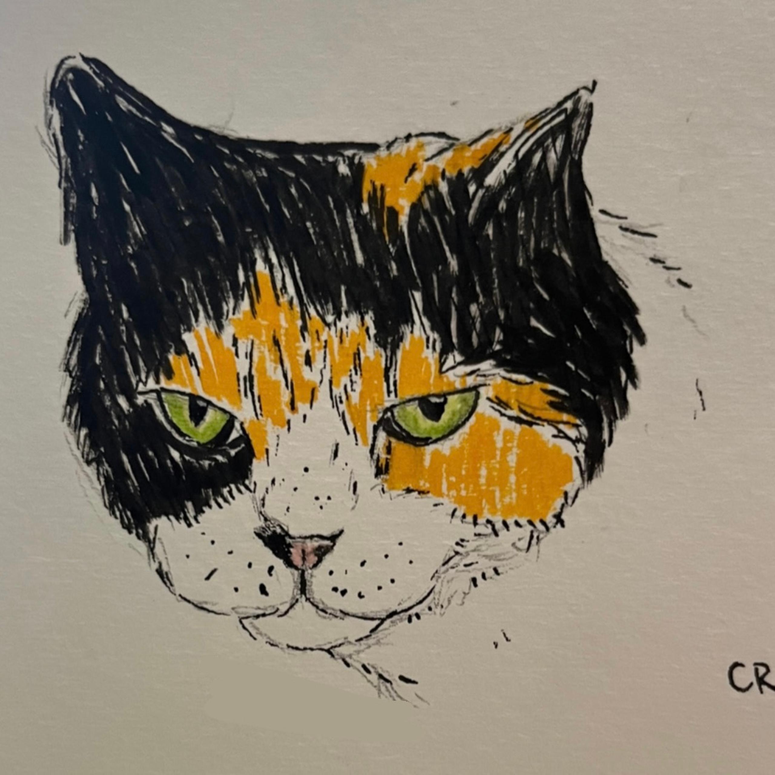 $5 PET SKETCH