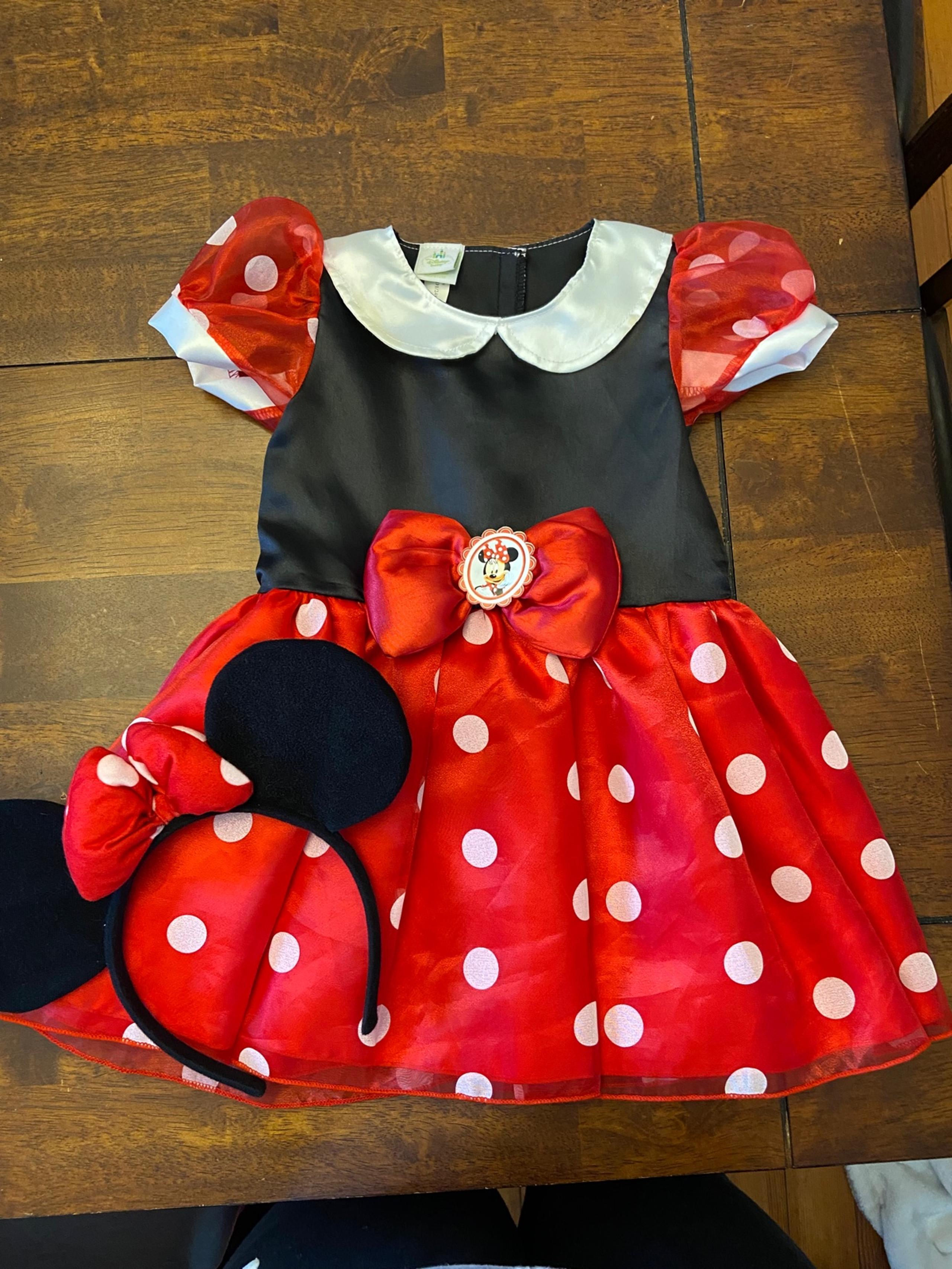 Minnie Mouse 9-12 months costume