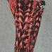 TYR Venzo Genesis Men's High Jammer Tech Suit Swim Shorts size 25