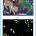 Zodiac Glow Dark Jigsaw Puzzle 1000
