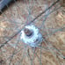 Bike rims 700