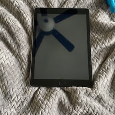 Apple iPad