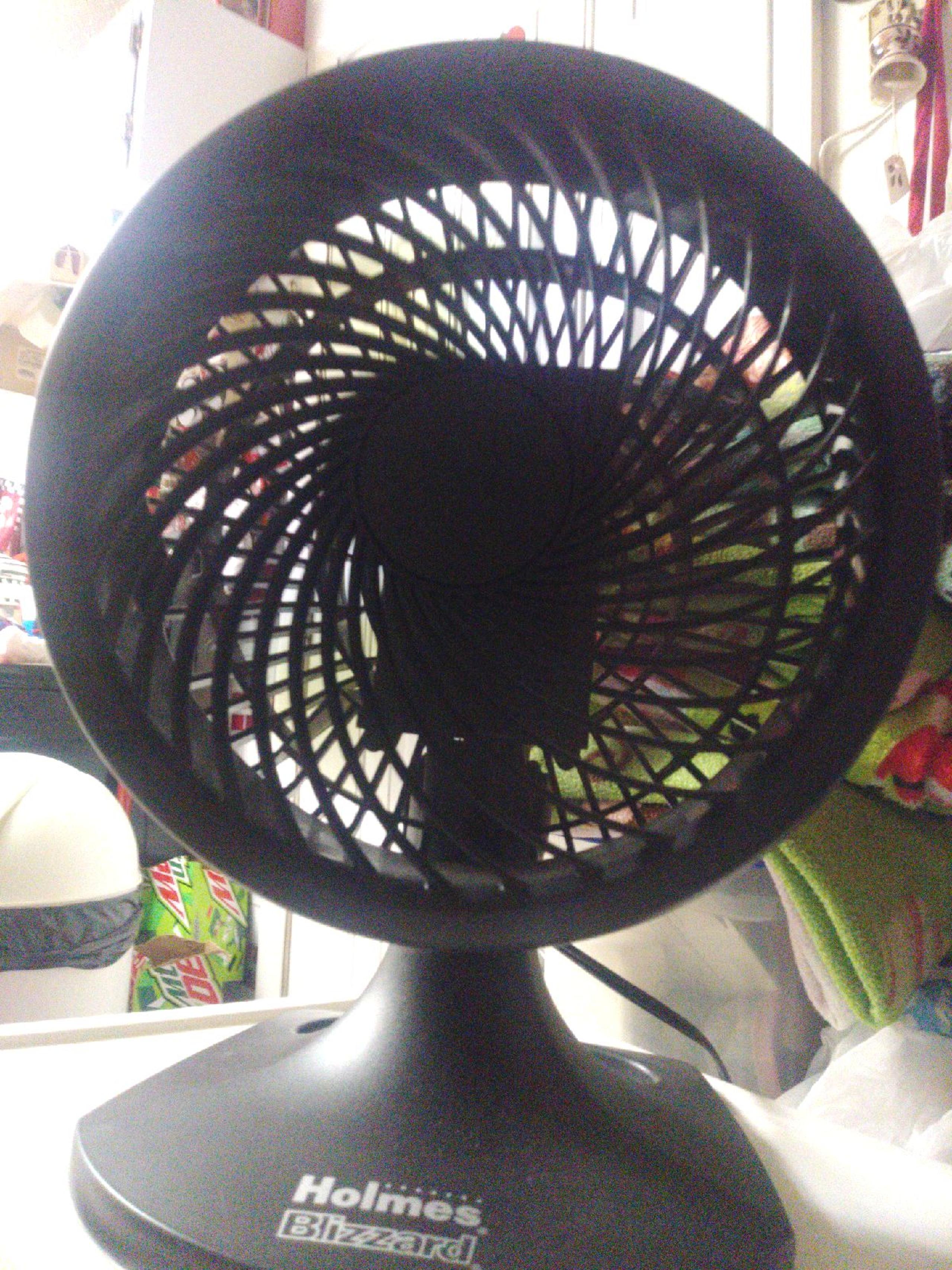 Fan