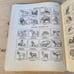 Set of Vintage Russian Vocabulary Books