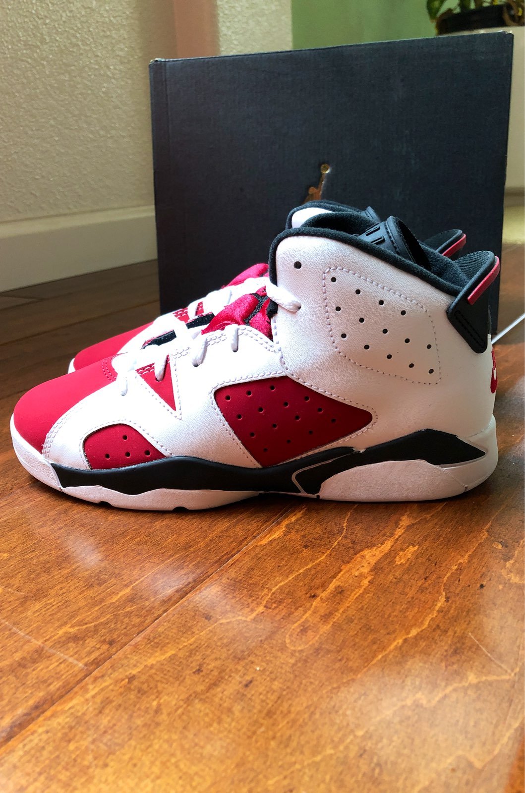 Jordan 6 carmine 2021 PS3Y