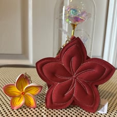 Bath and body works Disney Moana coin purse and Pocketback holder