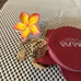 Bath and body works Disney Moana coin purse and Pocketback holder
