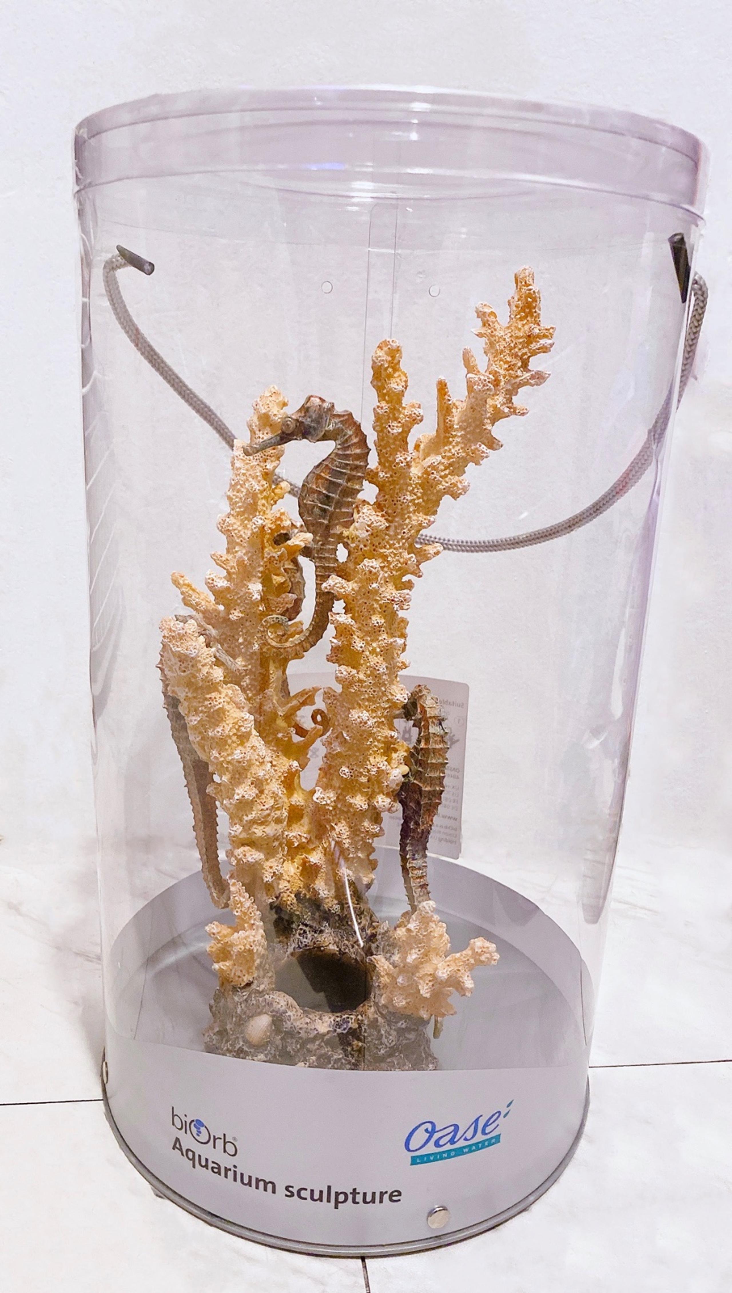 BiOrb Seahorse Coral sculpture Medium natural (NEW)