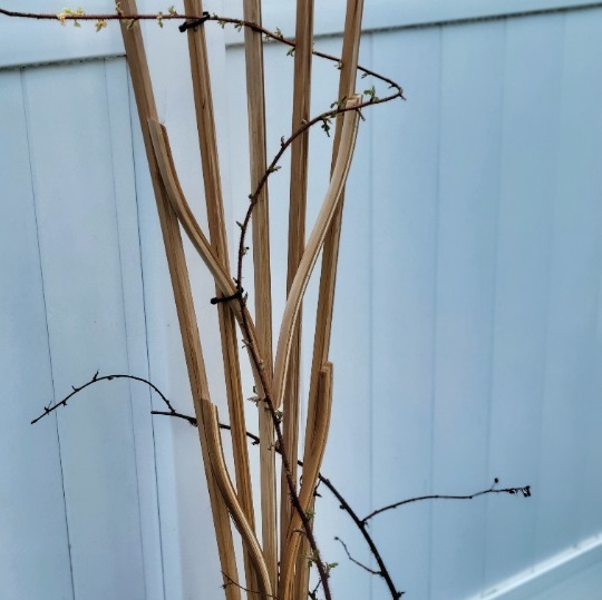 Cedar Fan Trellis - Functional Outdoor Yard Art