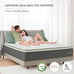 Novilla King Mattress, 12 Inch Gel Memory Foam Hybrid Mattress