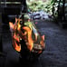 Hand Blown Glass Vase on Gamal Wood Base