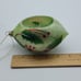 vintage glass christmas ornament Cardinal bird house Re