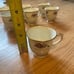 Lamberton Ivory China: Rose of Lamberton Petite Tea Set