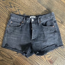 AGOLDE Parker Denim Shorts