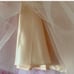 Tulle Skirt