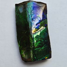 Ammolite