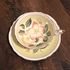 Vintage Paragon Floating Rose Dogwood Cup & Saucer Set