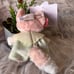 Disney Shanghai Duffy and Friends Lina Bell Fox Plush Keychain Cute 15 cm