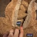Patagonia kids jacket