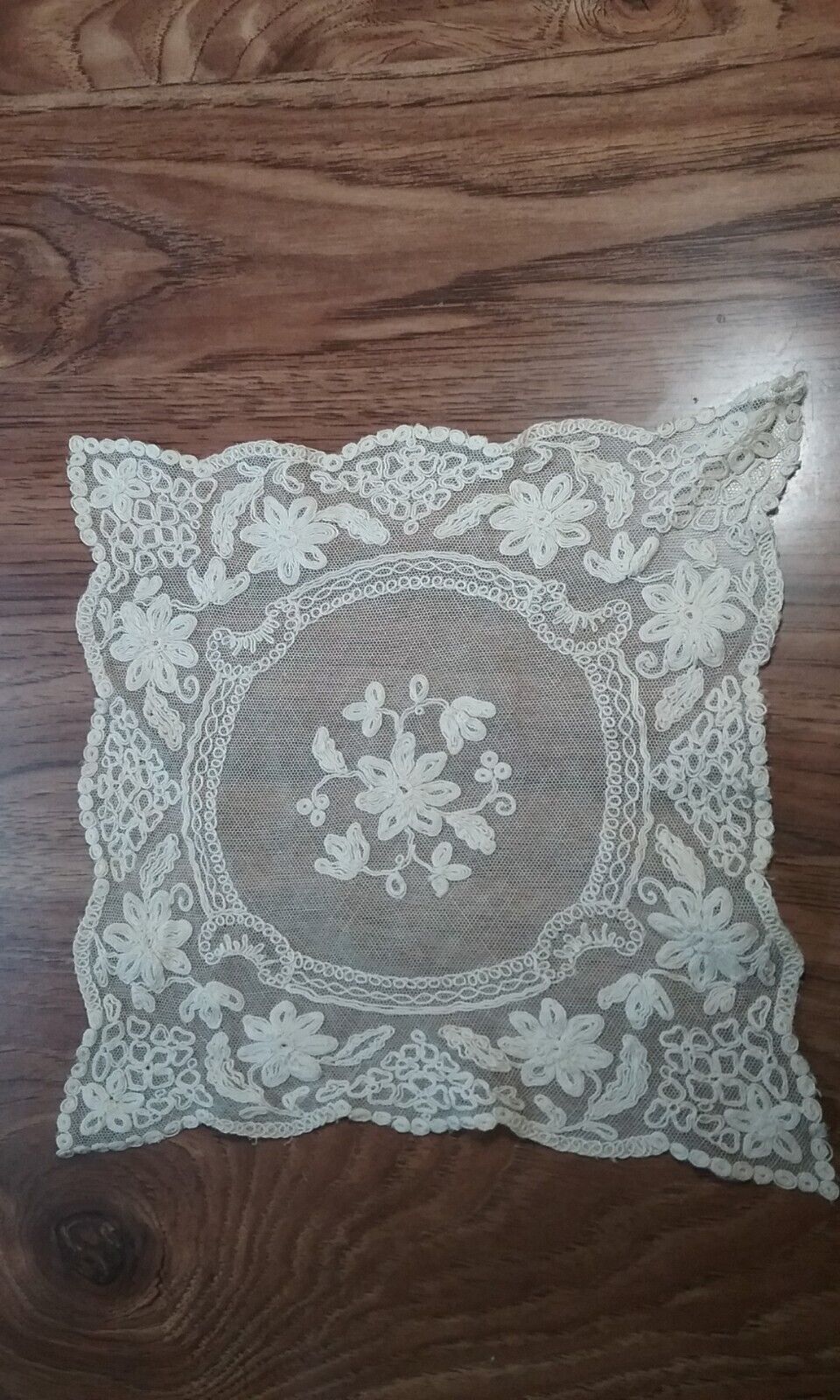 Antique Hand Embroidered Net Lace Hanky Early 1900 Estate Sale