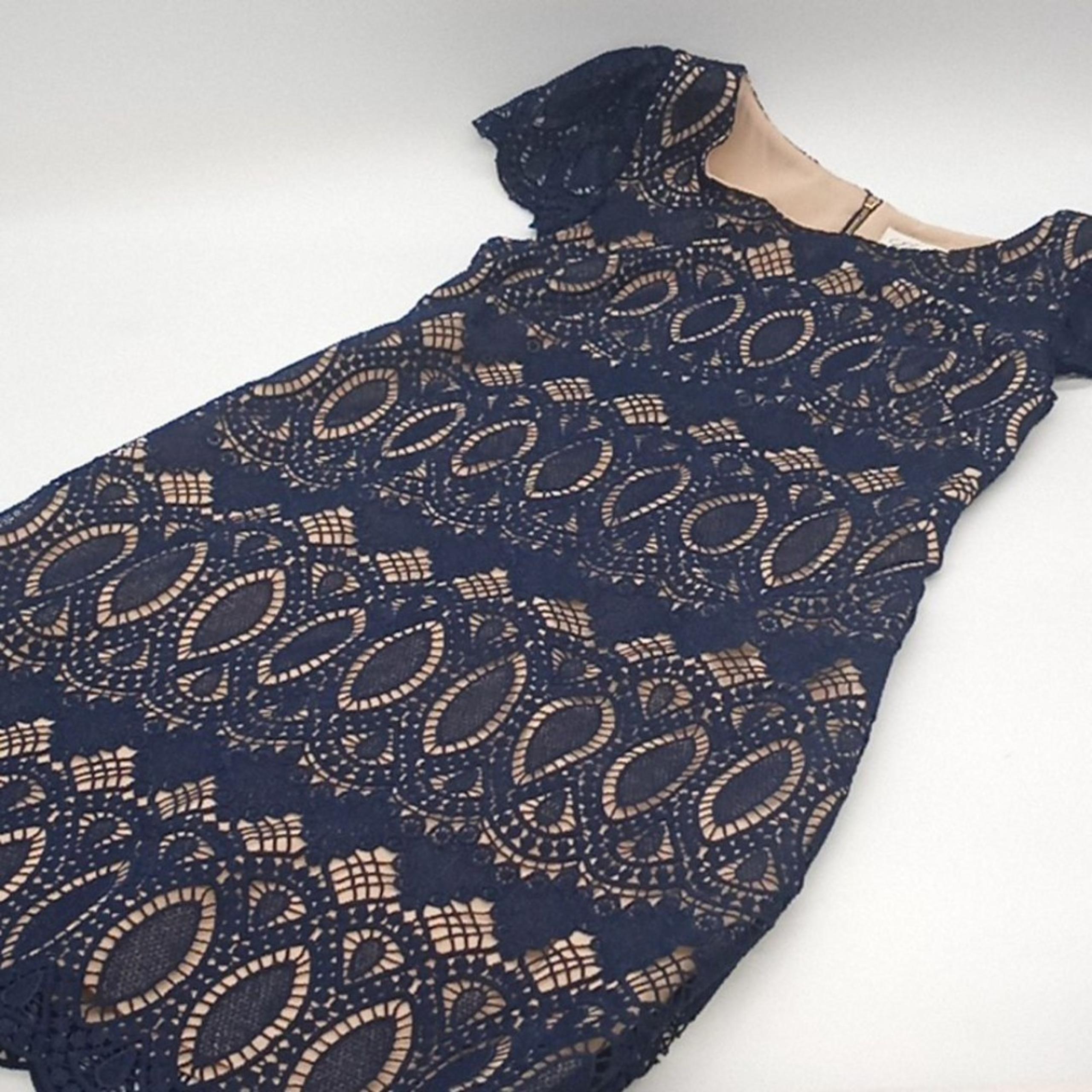 Eliza J Dress Womens 4 Scalloped Crochet Lace Sheath Lined Dress Navy Nude 4