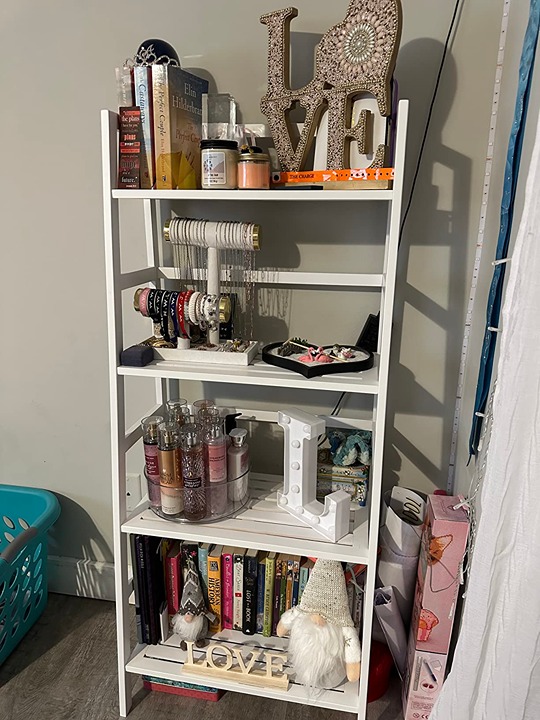 Ladder White Bookshelf