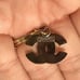 Authentic Chanel Blue & Gold Zipper Pull W/Free Gift