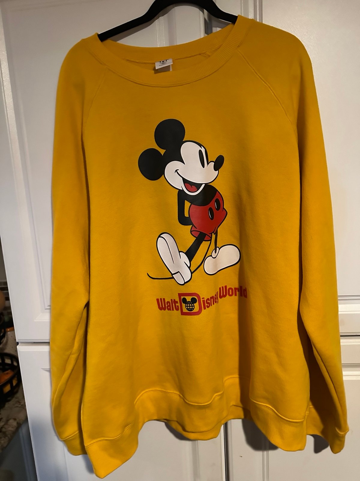 Walt Disney world sweatshirt