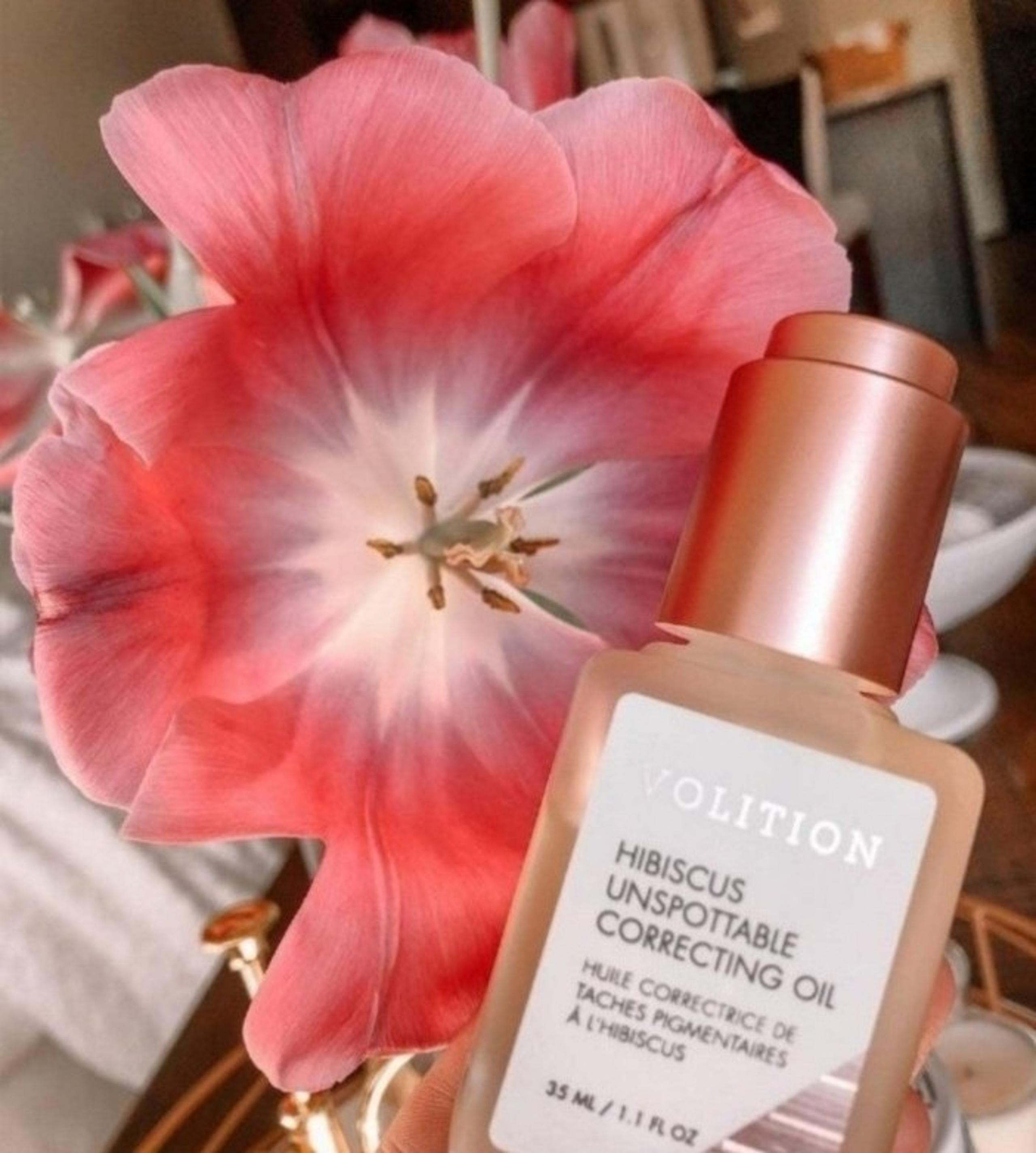 Volition Hibiscus Unspotable Correcting Oil
