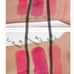 Chanel coco shine Suspense