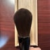 Chikuhodo grey squirrel powder brush p8