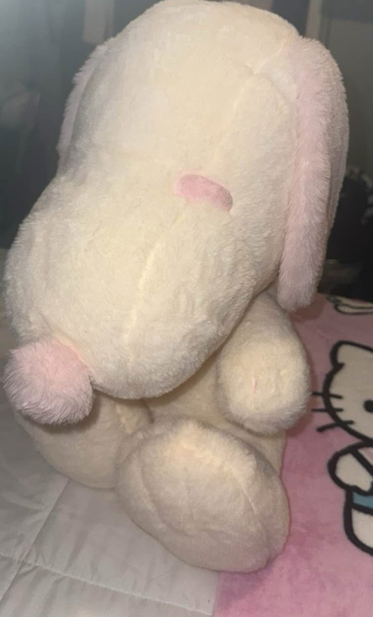 Pastel Snoopys From Japan