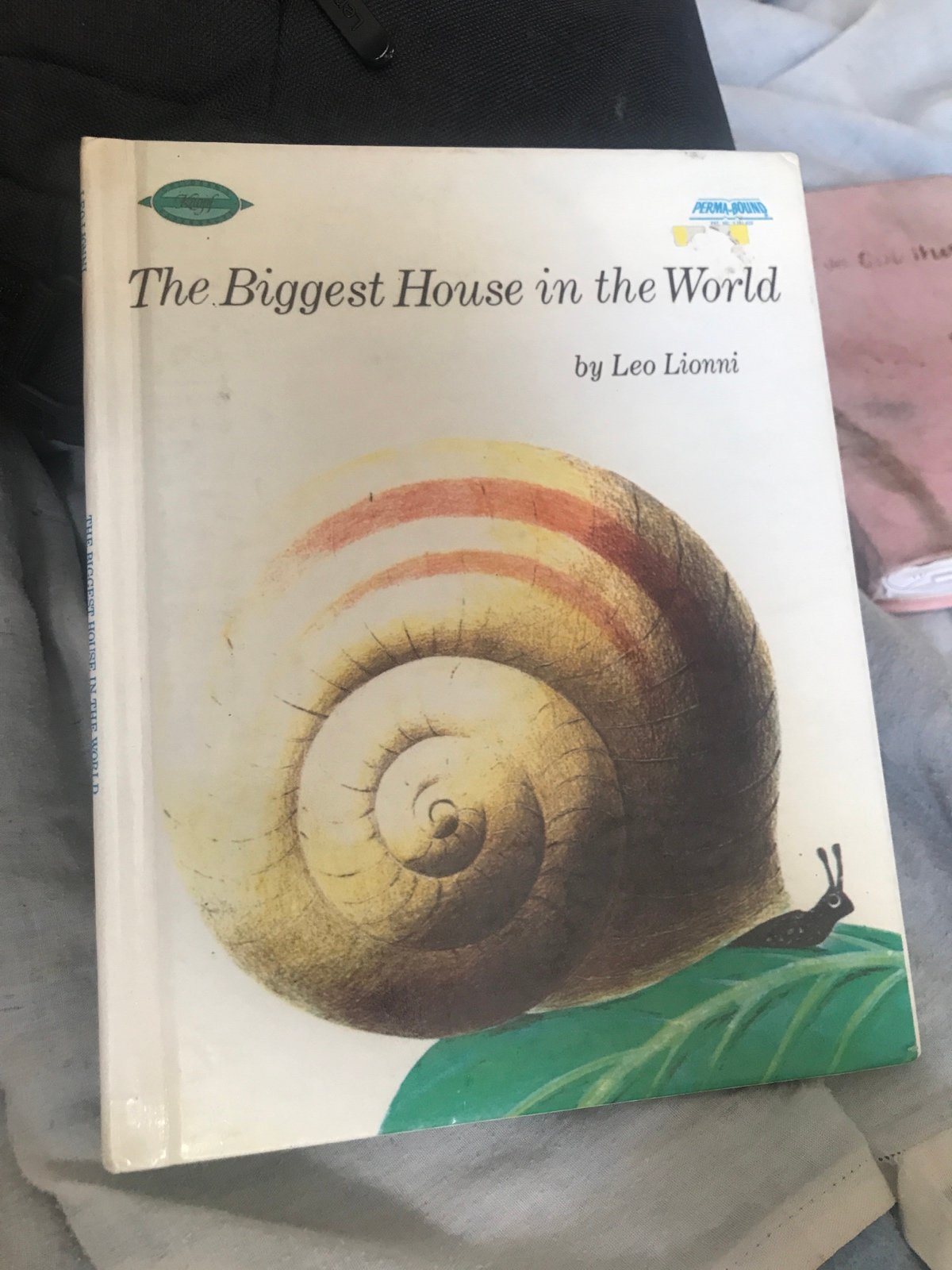 The biggest house in the world book