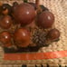 Lot vintage ukrainian wood mushroom moss display folk art cottage core Rare!!!