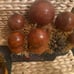 Lot vintage ukrainian wood mushroom moss display folk art cottage core Rare!!!